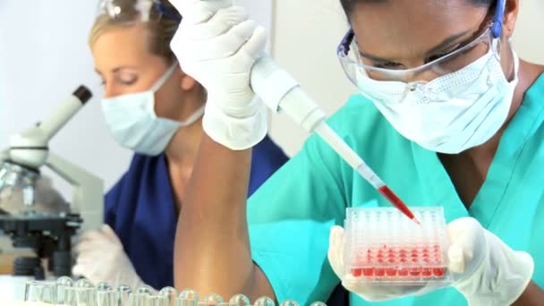 Female researchers working in a laboratory — Stock Video