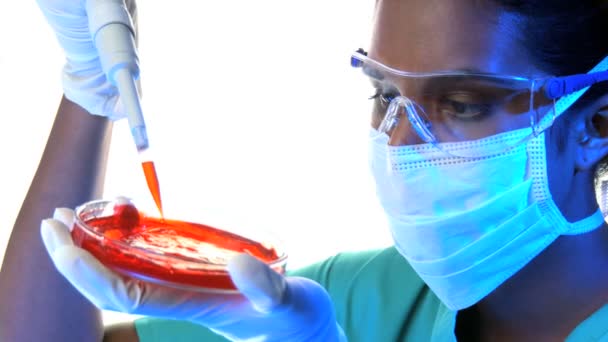 Female scientist holding petri dish and pipette — Stock Video