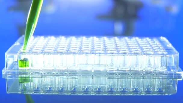 Close up of a microplate and a pipette filling the wells with green liquid — Stock Video