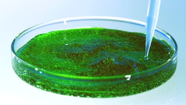 Close-up de uma placa de Petri e uma pipeta — Vídeo de Stock