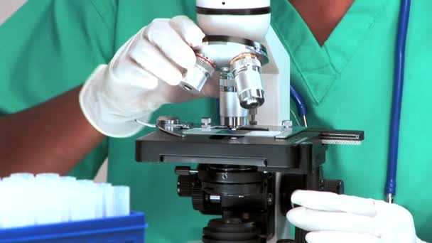 Professionista medico che lavora con un microscopio — Video Stock