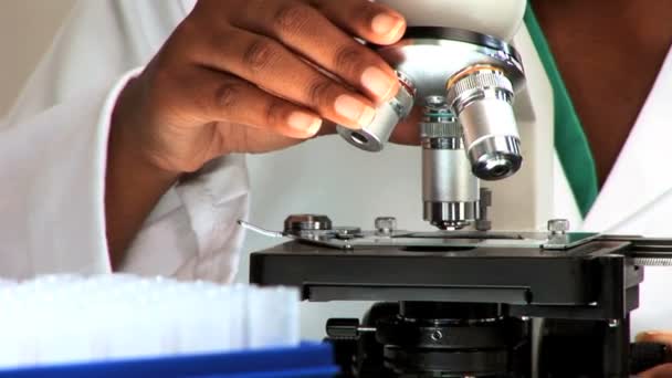 顕微鏡を扱う医療専門家 — ストック動画