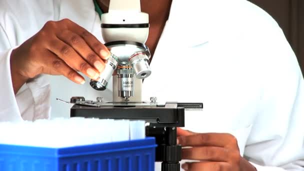 Medical professional working with a microscope — Stok video