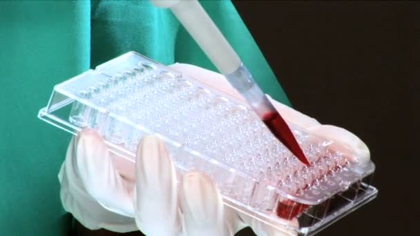 Scientist using a pipette, close up — Stock Video