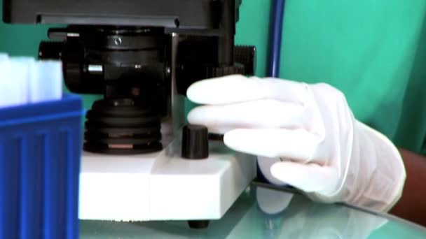 Médecin féminin regardant à travers un microscope — Video