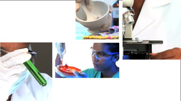 Montaje de imágenes de investigación científica y médica — Vídeo de stock