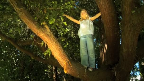 Ganska ung flicka spela upp i ett träd — Stockvideo