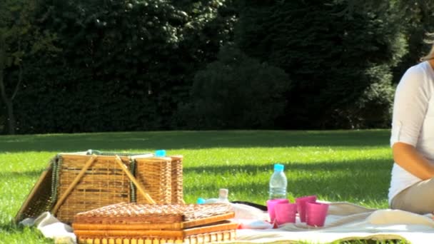 Jonge Kaukasische familie genieten van time-out samen met een picknick op een zomers dag — Stockvideo