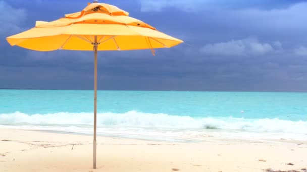 白い砂浜・青い海のアクアの日傘 — ストック動画