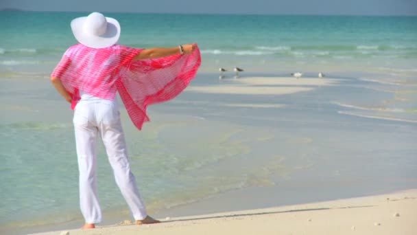 Élégante jeune femelle sur une belle plage de sable blanc regardant les eaux aquamarines — Video