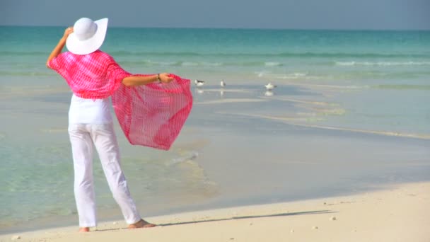 Elegancki kobiece kobieta młody na pięknej piaszczystej plaży patrząc na wody akwamaryn — Wideo stockowe