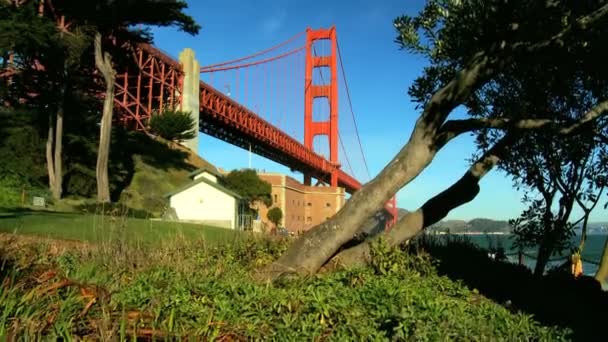 Sotto il Golden Gate Bridge — Video Stock