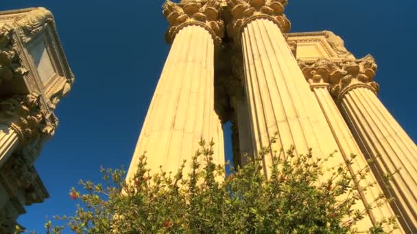 Palacio de Bellas Artes San Francisco — Vídeo de stock