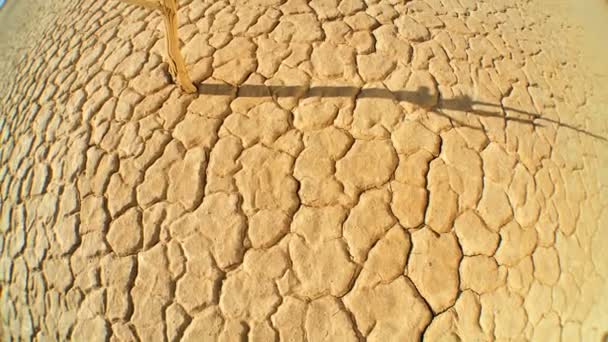 Ширококутний пустельний краєвид — стокове відео