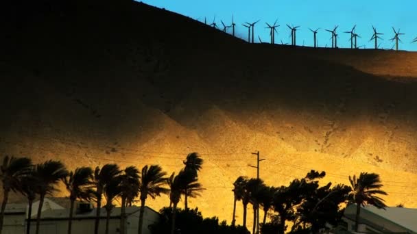 Parque eólico del desierto al atardecer — Vídeo de stock