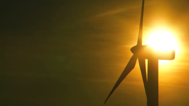 Turbina eólica y fuente de energía solar — Vídeos de Stock