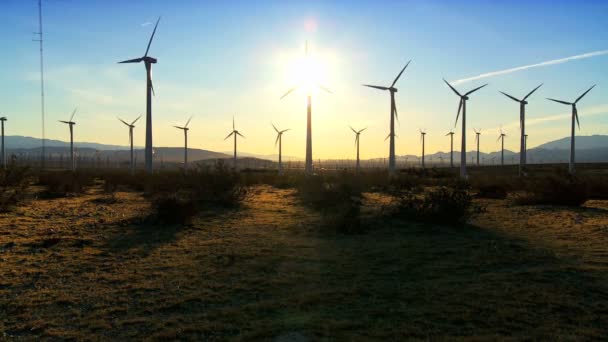 Parc éolien au crépuscule — Video