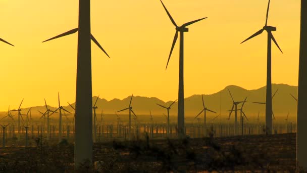 日落时的风力涡轮机 — 图库视频影像