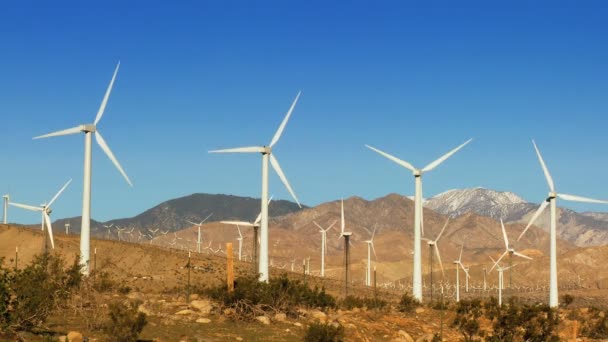 Wind Energy Power Source — Stock Video