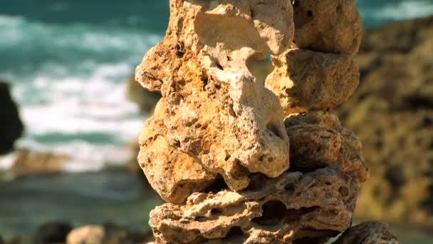 Tranquilo jardín de rocas con el océano detrás — Vídeo de stock