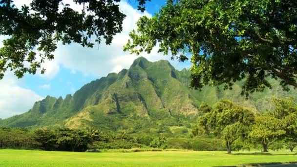 Скалы На Пали на Гавайях — стоковое видео