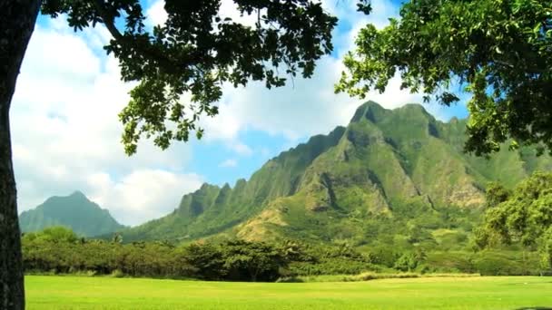 Na pali klippor i hawaii — Stockvideo