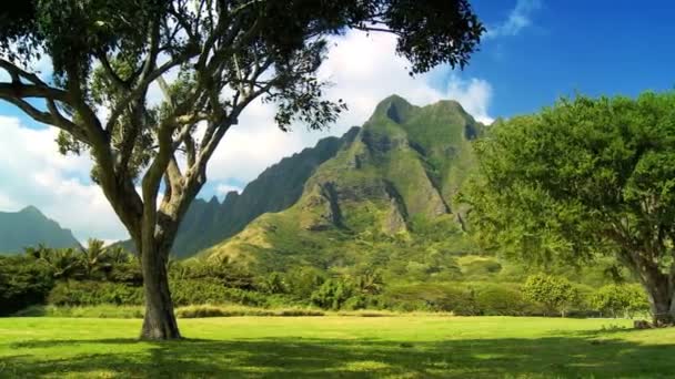 風光明媚な na pali の美しさ、ハワイ — ストック動画