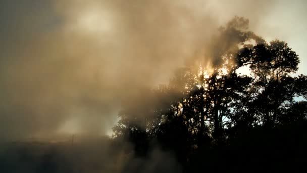 Vulkáni Steam & napfény hatását — Stock videók