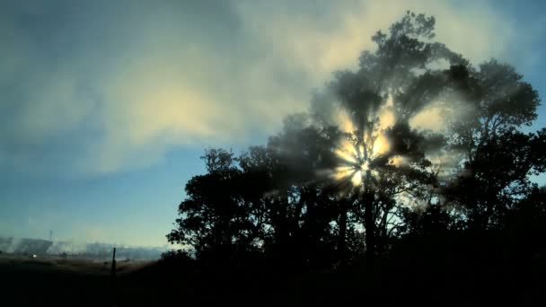 Volcanic Steam & Sunlight Effects — Stock Video