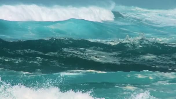 Hombre solitario en Surf Shallows — Vídeo de stock