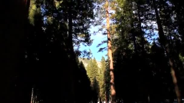포인트--보기의 국립 공원에서 운전 — 비디오