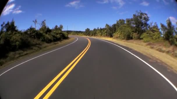 Ponto de vista Peixe-olho dirigindo na estrada rural — Vídeo de Stock