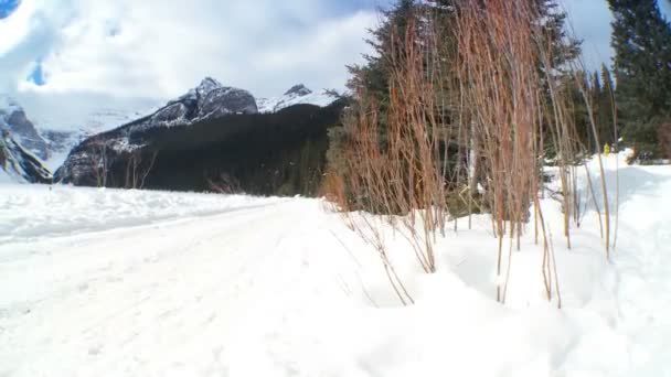 Взимку на лижах успіху — стокове відео