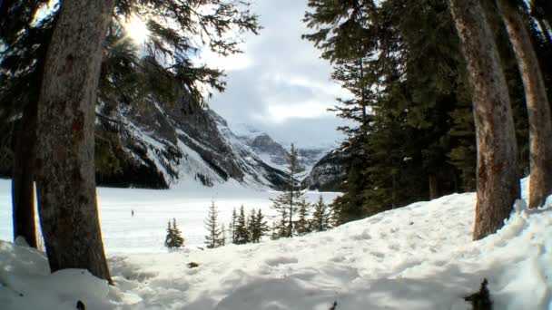 Esquí de invierno Éxito — Vídeo de stock