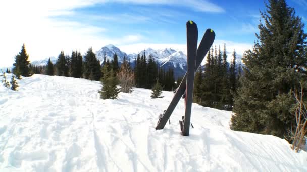 Gekreuzte Carver-Ski — Stockvideo