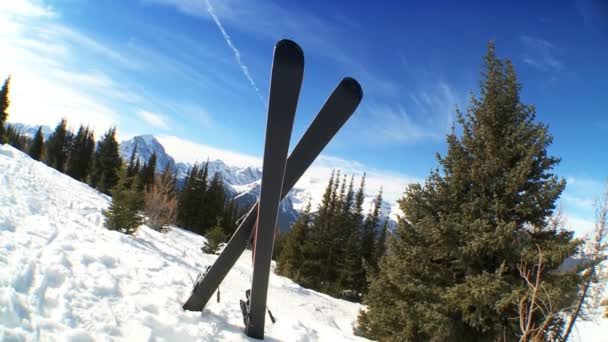 Crossed Carver Downhill Skis — Stock Video