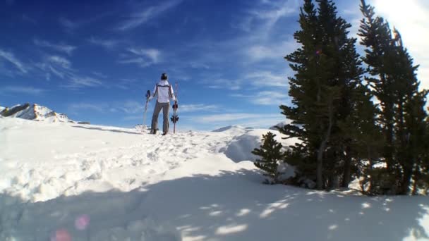 Female Skiing Achievement — Stock video