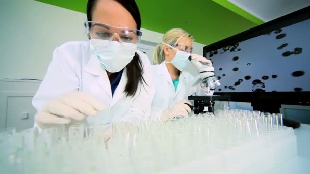 Female Medical Researchers — Stock Video