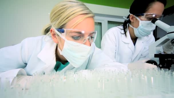 Medical Research Laboratory — Stock Video