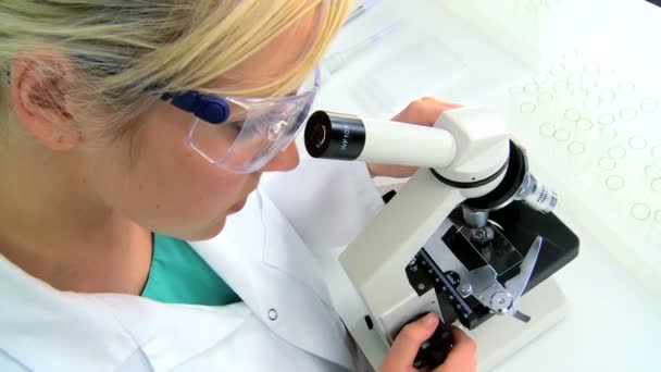 Female Researcher in Laboratory — Stock Video