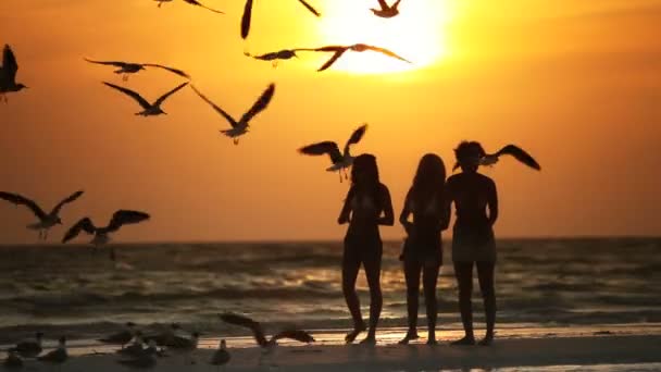 Praia meninas ao pôr do sol — Vídeo de Stock