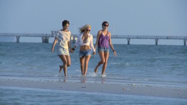 Друзья, гуляющие по пляжу — стоковое видео