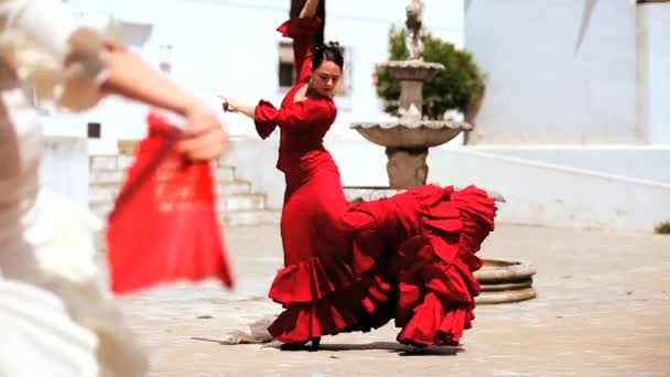 Tradiční flamenco tanečnice — Stock video
