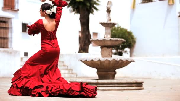 Traditioneller spanischer Flamenco — Stockvideo