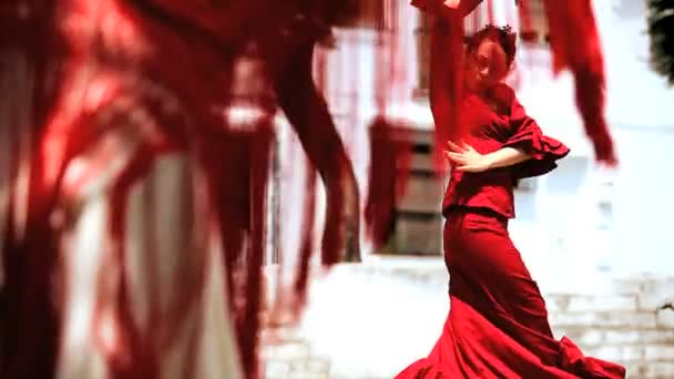 Bailarines Tradicionales de Flamenco — Vídeo de stock