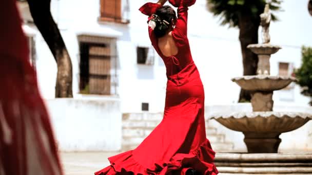 Spaanse flamenco dansers — Stockvideo