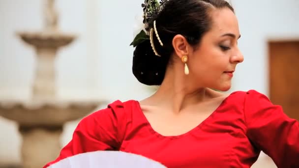 Beautiful Spanish Flamenco Dancer — Stock Video