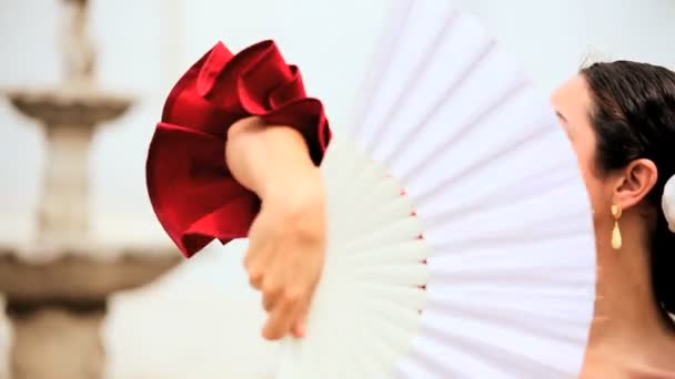 Beautiful Spanish Flamenco Dancer — Stock Video