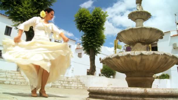 Flamenko dans adımları ile radyo sinyalleriyle iletilen — Stok video