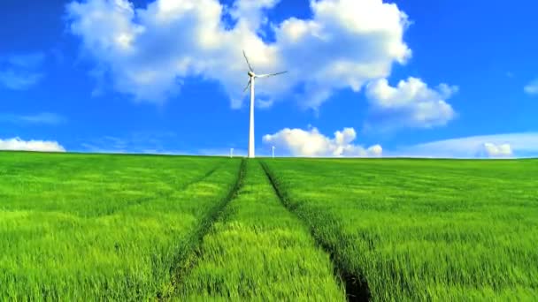 Wind farm Framtidens energi — Stockvideo